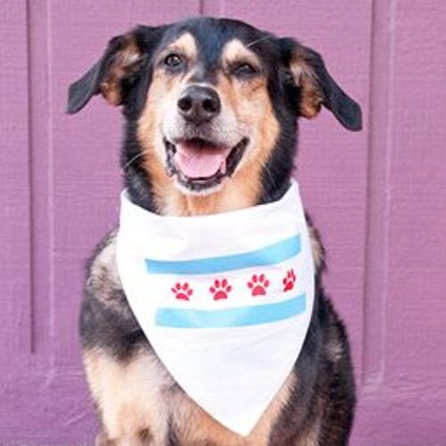 Triangle Doggie Bandana - STANDARD SIZE ONLY Thumbnail