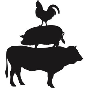 Animals  Converted  copy Thumbnail