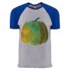 Unisex Cotton Raglan T-Shirt Thumbnail