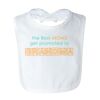 Infant Jersey Bib by Rabbit Skins Thumbnail